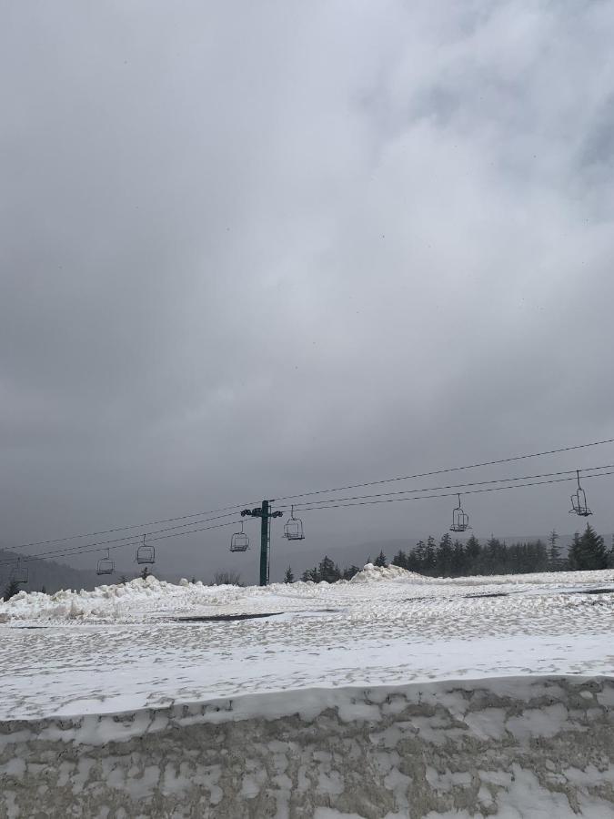 Highland House 207 Slopeside, Village Area, Ski In Out Snowshoe Buitenkant foto